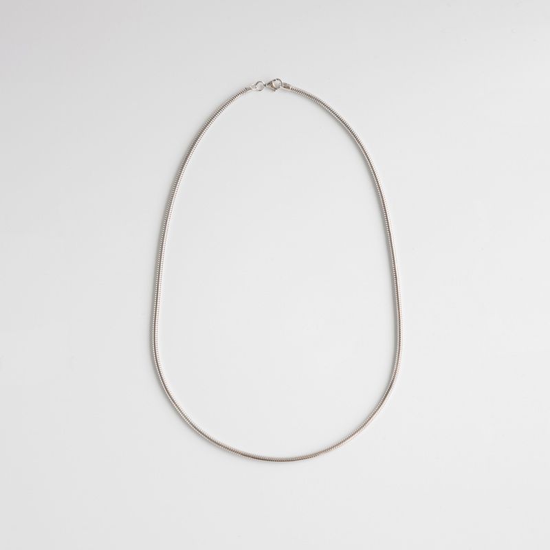 Silver Chain: Snake