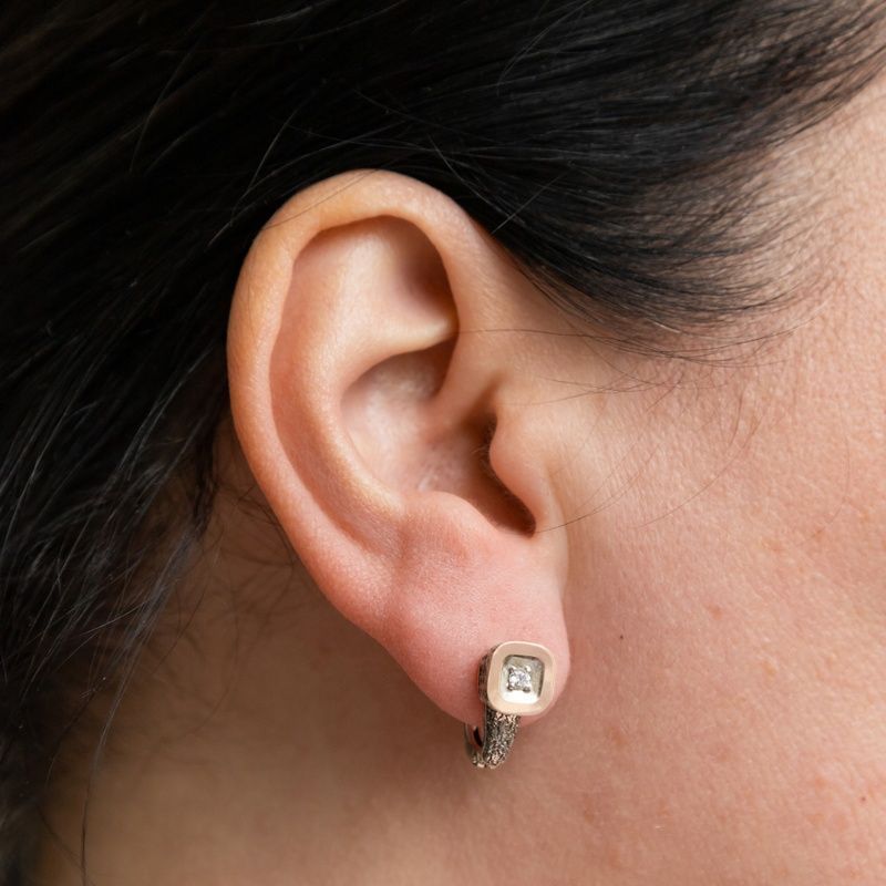 Silver earrings: Greatness